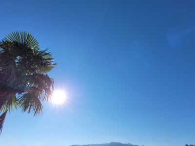 WhatsApp Image 2025-12-28 at 13.48.35.jpeg