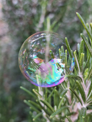 Seifenblase bei Frost.jpg