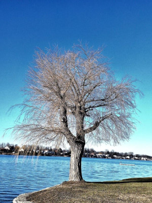 Azur-Himmel und See - F.jpg