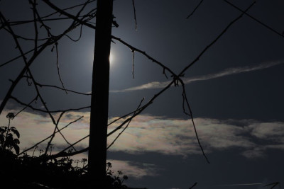 Iriswolken 311225-F.JPG