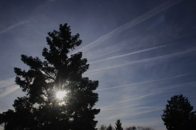 Hauch von Halo-F.jpg