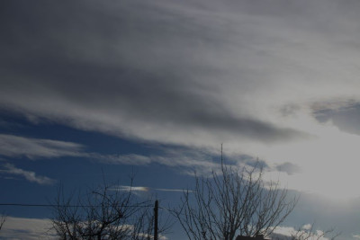 li NS-020126 nm-F.JPG