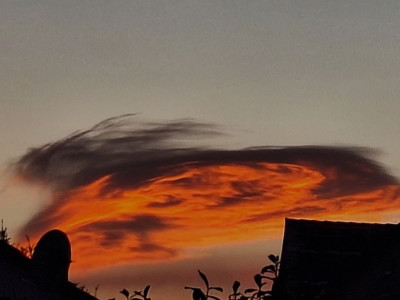 Ac len - SU - 10.01.26 - F.jpg