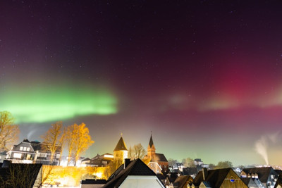 Sichtung Olpe Biggesee (51°1´ N, 7°50´ E)