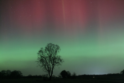 2026-01-19 Polarlicht Helvesiek 2229 MEZ (28) forum.jpg