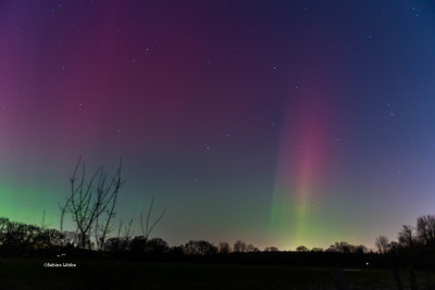 20.01.2026 - Feldmark_small.jpg