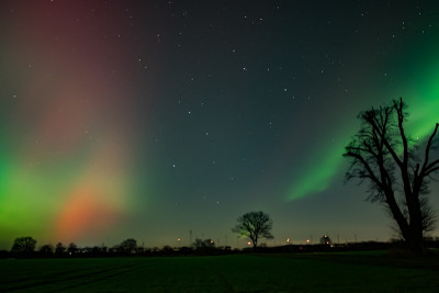 PL20260120_2-1 4.JPG