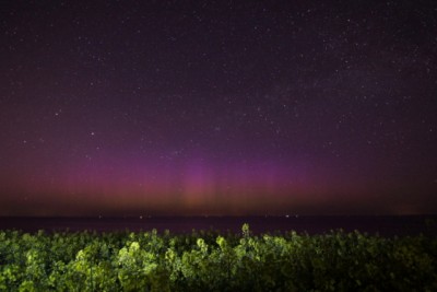 Aurora über Rapsfeld ca. 22:15 UTC; 15s sek, iso 3200