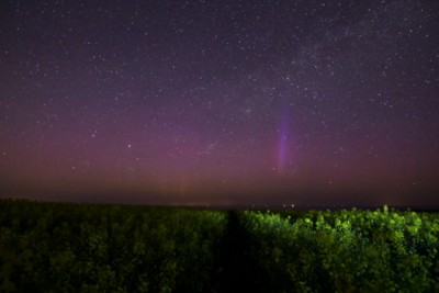 Ende Beobachtung ca 23:30 UTC, Beamer bis Höhe Cassiopaia; auch visuell sichtbar 25 sek, iso 3200