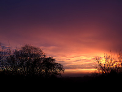 4 Morgenrot LS 20260206.jpg