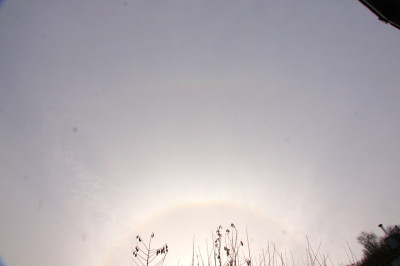 1342 mit SLB/ZZB (»optimiert«)