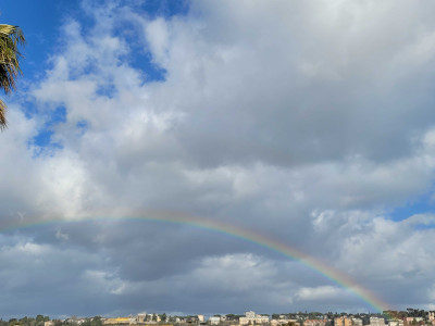 20260206_141835.jpg (330.46 KiB) 2029 mal betrachtet 20260206_141835.jpg