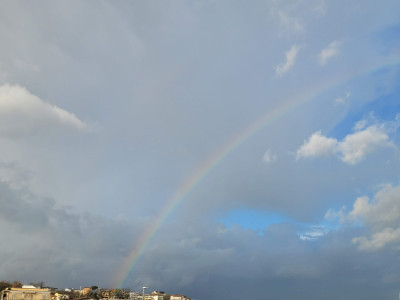 20260214_081414.jpg (331.16 KiB) 1984 mal betrachtet 20260214_081414.jpg