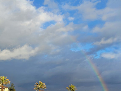 20260214_081420.jpg (328.9 KiB) 1984 mal betrachtet 20260214_081420.jpg