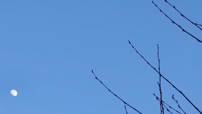 Jupiter um 17:38 MEZ