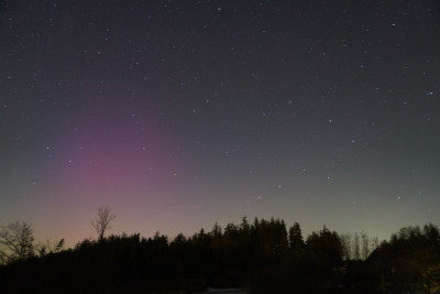 20.01.2026 18:34 Polling Bayern schwach Visuell