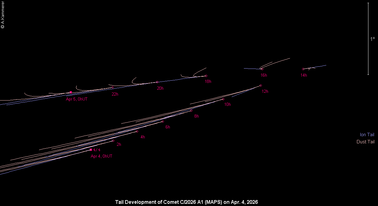Schweifentwicklungsprognose (A. Kammerer)
