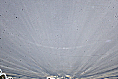 Sonnenhalo_100426_2_USM.jpg