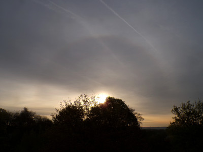 17 Halo 20260411.jpg