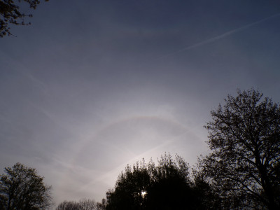 18 HaloZZB 20260411.jpg