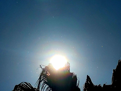 20260429_113733.jpg