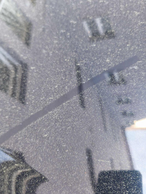 WhatsApp Image 2026-05-05 at 09.22.26.jpg