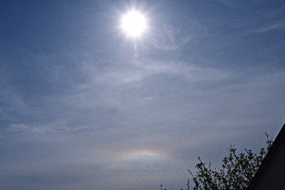 3-Halo.JPG