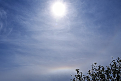5-Halo-10.11.JPG
