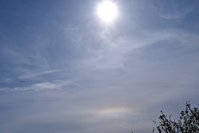 1-Halo-9.41.JPG