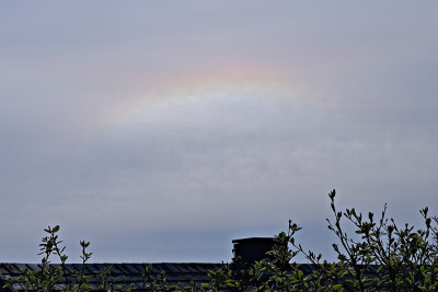 2-Halo-9.36.JPG