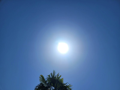 20260509_101702.jpg