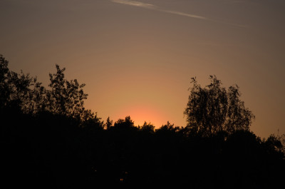 IMGP9841_b_1000.jpg