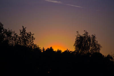 IMGP9841_b_Sat_1000.jpg
