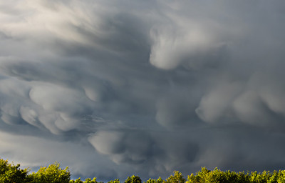 Mammaten_130526_2.jpg