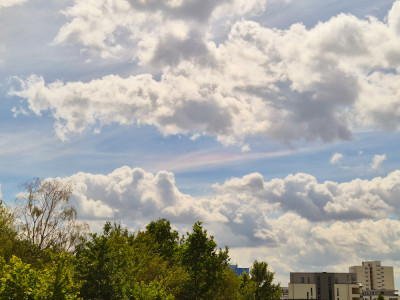 ZHB_210526_1_.jpg