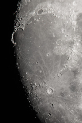 GoldeneHenkel.26.5.26-4.jpg