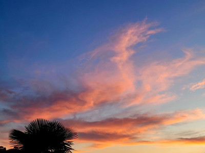20260525_114729.jpg