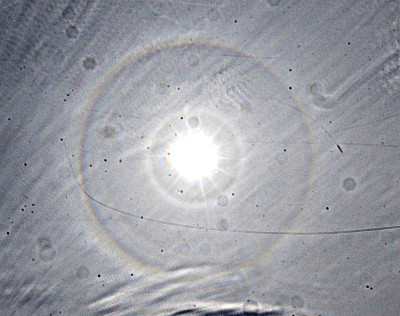 Pyramidal-Halos_300526_USM_3_.jpg