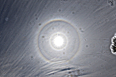 Pyramidal-Halos_300526.jpg
