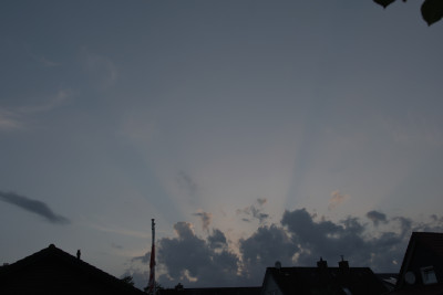 DSC_1833_350.jpg