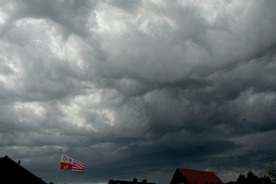 DSC_1842_350.jpg