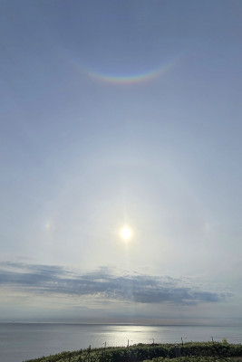 4-Halo-18.53.jpg