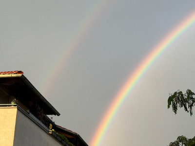 IMG_0439.jpeg