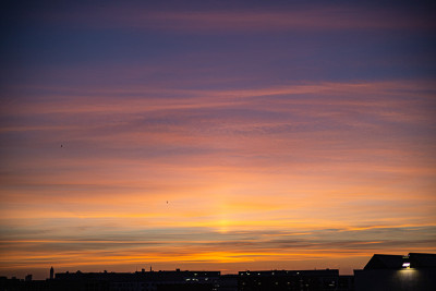 IMG_0006_.jpg