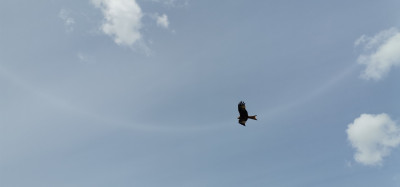 IMG_20260611_161550 1.jpg
