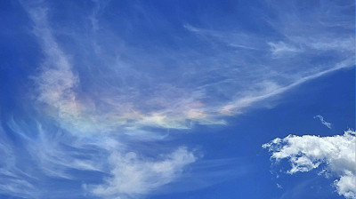 Shotcut_00_00_00_480 6.jpg