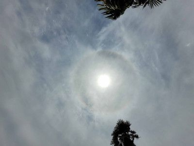 20260615_140146.jpg