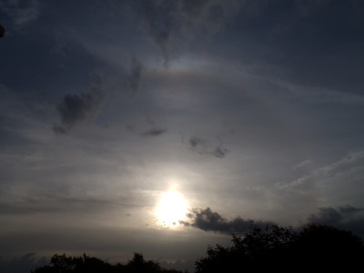 33 Halo OBB 20260616.jpg