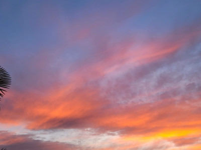20260615_204212.jpg
