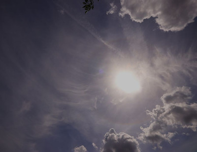 halo170626-F.jpg